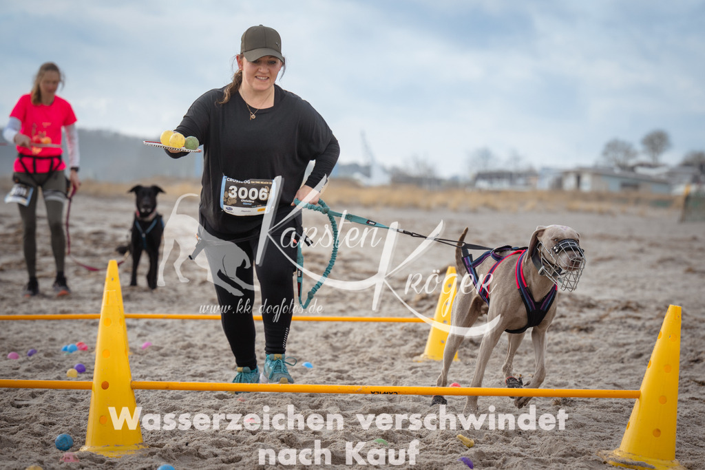 1224_ZZ96410 | kk-dogfotos
