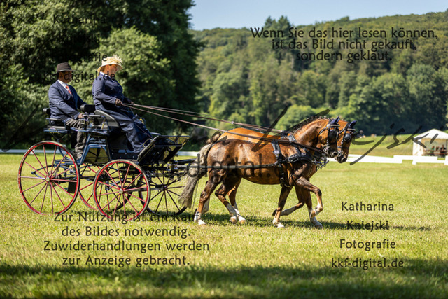 IMG_8627 | kkf-digital