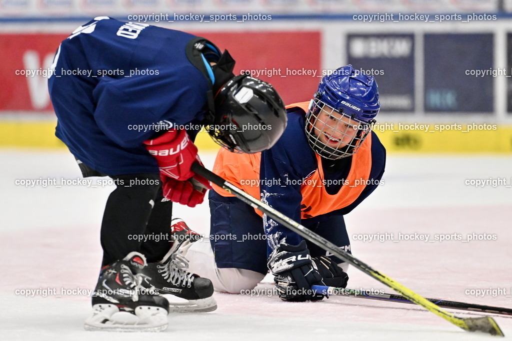 Z9B_3454 | hockey sports photos, Pressefotos, Sportfotos, hockey247, win 2day icehockeyleague, Handball Austria, Floorball Austria, ÖVV, Kärntner Eishockeyverband, KEHV, KFV, Kärntner Fussballverband, Österreichischer Volleyballverband, Alps Hockey League, ÖFB, 