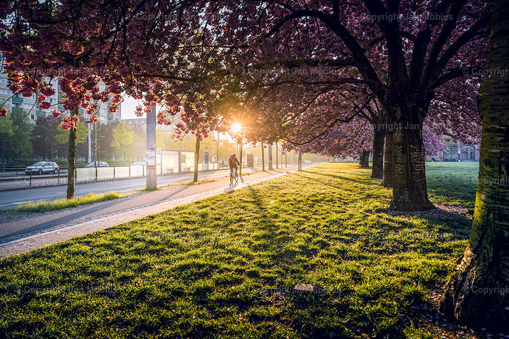 _DSC1698-2 | Leipzig Wandbilder Drucke Prints Leinwand Stadtmotive Leipzig Fotosdruck Kunstdrucke Bilder Leipzig Stadtansichten Acrylglasbilder Leipzig Wanddeko Fine Art Prints Wandbilder Büro Leipzig Bilder Praxis Zuhause Bilderdruck Poster Posterlounge Kunstdrucke - Realisiert mit Pictrs.com