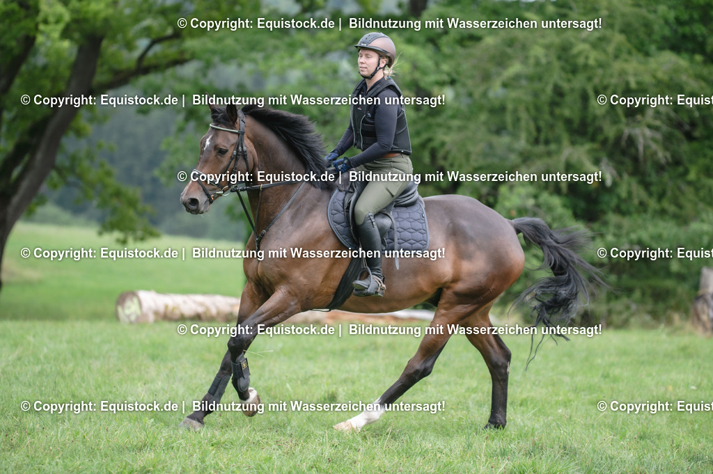 20250726_Vielseitigkeitslehrgang-Marbach_0677 | Foto: Thomas Hartig