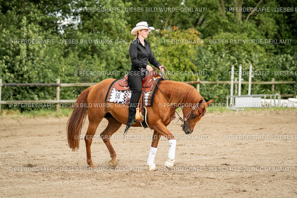 DSC05197 | Pferdegrafie