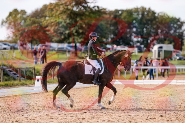 2026_10_03_Siefer-Hof_132535_Z81_76859826 | Professionelle Reitsport-, Turnier- und Eventfotografie von Robert Broda. Galerien mit ausgewählten und bearbeiteten Bildern direkt online ansehen und bestellen.