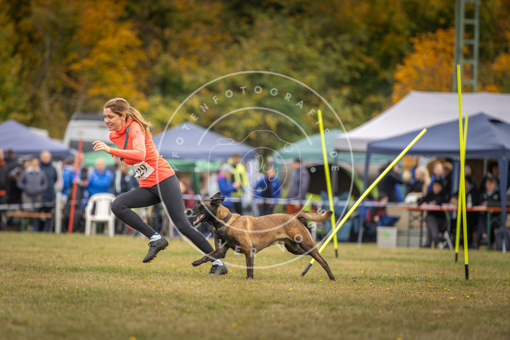 Pfotenfotografie_DV3A4106 | Hundefotografie, Tierfotograf, Pfotenfotografie, Fotoshooting Hund, Hunde Portrait, Hundesport, Hundeportraits, Heideshooting, Hunde, Sportfotograf, Hundefotograf, Turnierhundsport, THS,  - Realisiert mit Pictrs.com