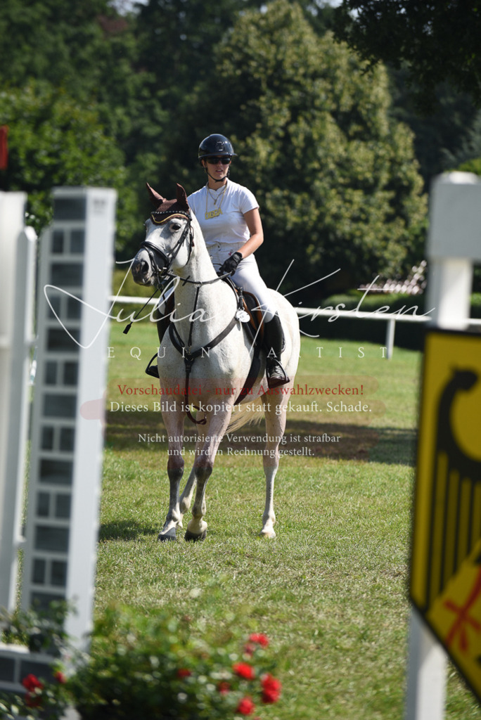 DSC_0175 | Pferde- und Turnierfotografie in Westsachsen. Pferdeportraits, Auftragszeichnungen und intuitive Kunst.