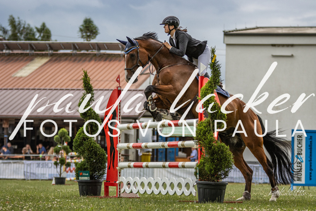 IMG_7288 | Erleben Sie dynamische Sport- und emotionale Tierfotografie in Süddeutschland mit Fotos von Paula. Spezialisiert auf Pferde- und Hundefotografie sowie Sportevents. Kontaktieren Sie mich für einzigartige und ausdrucksstarke Bilder Ihrer besonderen Momente. - Realisiert mit Pictrs.com