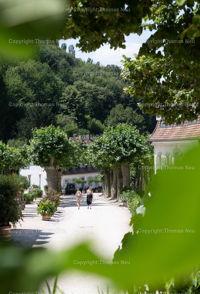 DSC_6110 | Der Staatspark Fürstenlager in Bensheim Auerbach, an der hessischen Bergstraße- ist ein wunderschöner Landschaftspark nach englischen Vorbild. Es war die Sommerresidenz der Darmstädter Fürstenfamilie die hier das "einfache Landleben" genossen. Zu jeder Jahreszeit kann man das Fürstenlager als Ausflugsziel empfehlen. Im Herrenhaus ist eine Gastronomie untergebracht. Im Sommer findet auf der Bühne vor der großen Wiese ein Opern-Air statt, 