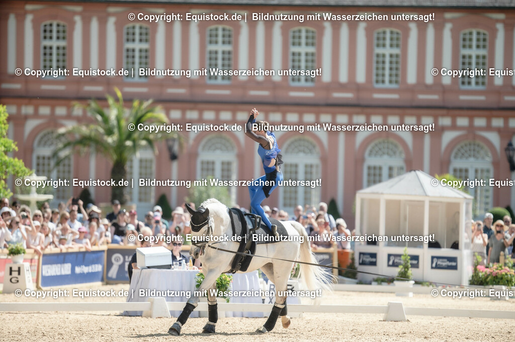 20230528_Voltigieren_NASPA_0010 | equistock