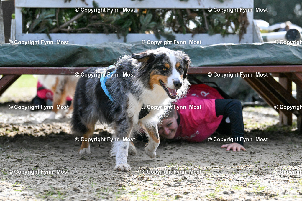 DSC_6336 | Hallo und herzlich Willkommen auf meiner Shop-Seite Fynn Most.

Ich wünsche Dir viel Spaß beim stöbern durch die Bilder, wenn Du Fragen hast oder Bilder vermisst, kannst du mir gerne eine Nachricht schreiben. - Realisiert mit Pictrs.com