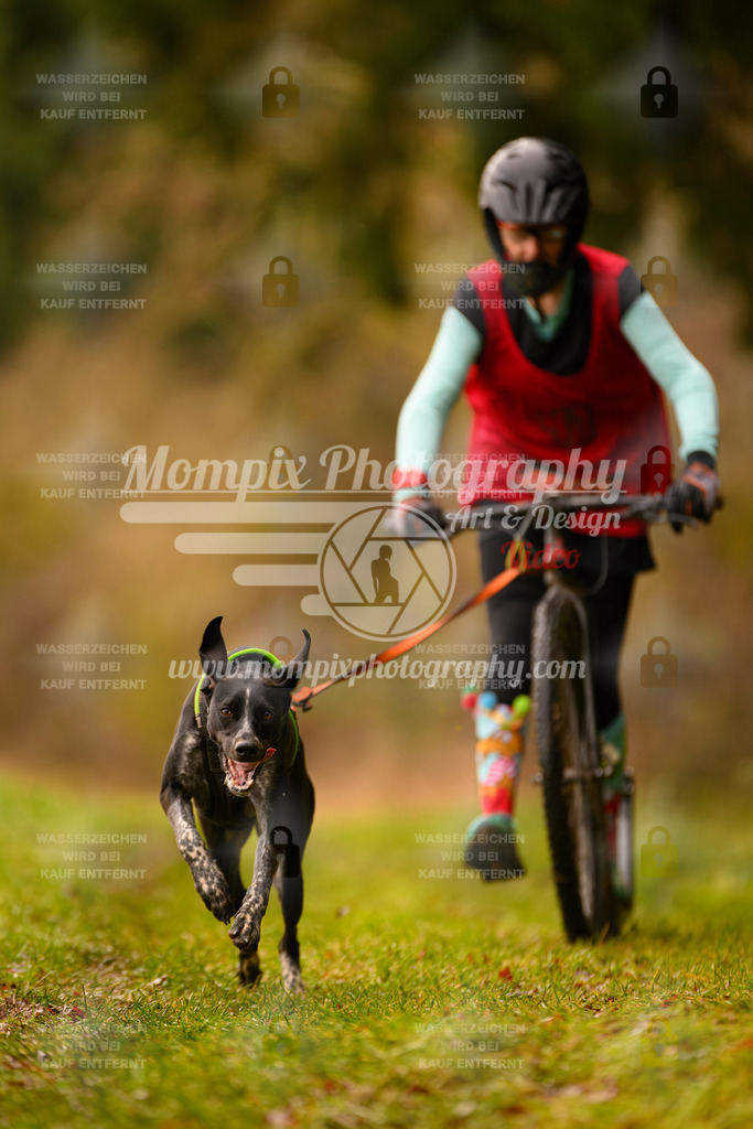 MompixPhotography_2SSTSSBW_2025_SO_Scooter-12 | PayLife