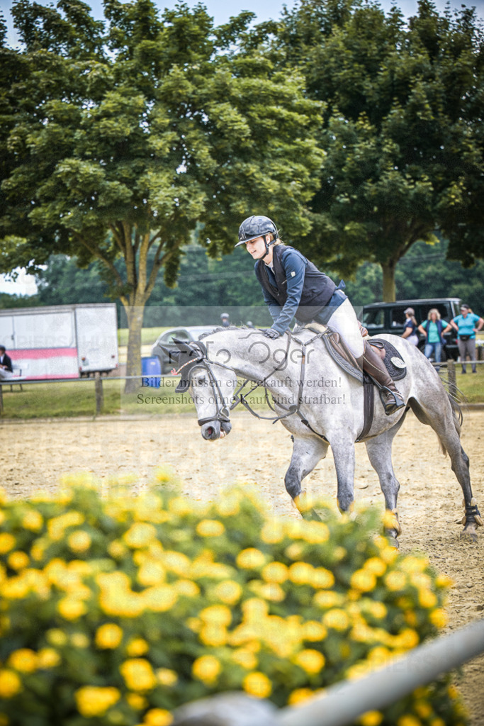 DOS_3833 | Entdecke hochwertige Reitturnierfotos von Foto Oger. Professionell, emotional und authentisch – jetzt Lieblingsmomente im Shop bestellen.Deutschlandweite Turnierfotografie. - Realisiert mit Pictrs.com