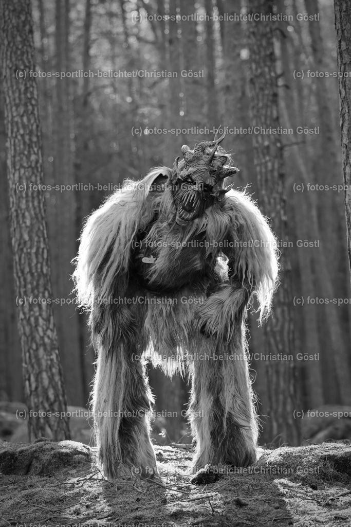 2X5A3355 | fotos-sportlich-belichtet - Realisiert mit Pictrs.com