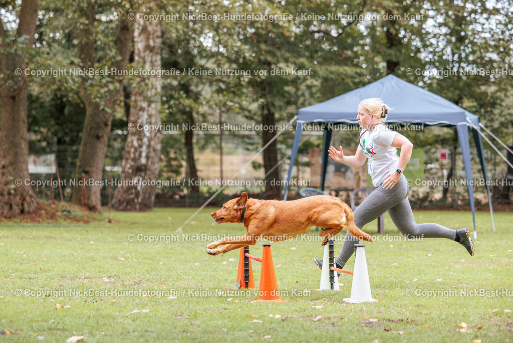 THS-HSV-Blumenthal-2026-Nickbest-Hundefotografie-4643 | Dein Hund! Dein Moment! Deine Erinnerungen! Hundefotografie in Bremen Blumenthal. Ich fange die besonderen Momente deines Vierbeiners ein – ob Indoor mit Blitzanlage oder in der freien Natur. Sicher dir dein Moment und dein Termin für eure Erinnerungen.
