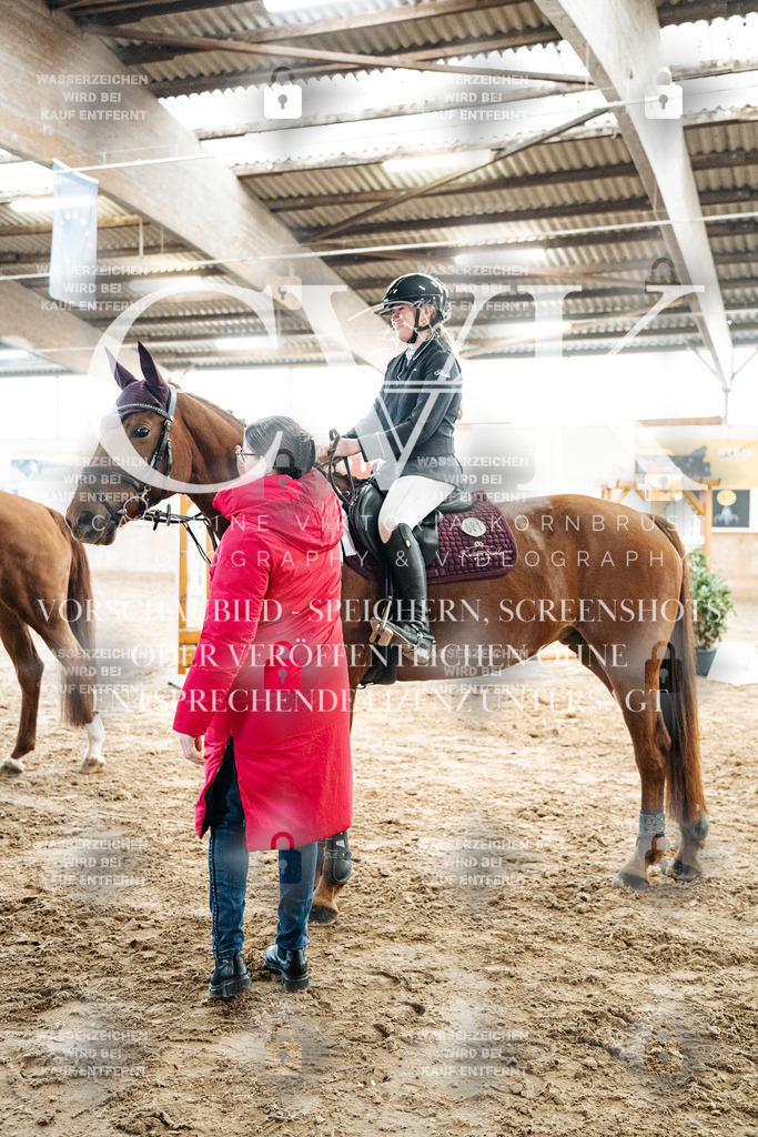 CK702866 | Turnierfotografie Pferdefotografie Trier Rheinland-Pfalz Pferdesport Reitsport Tierfotografie Sportfotografie Pferdevideo Pferdevideografie Equestrianvideography equestrianphotography  - Realisiert mit Pictrs.com