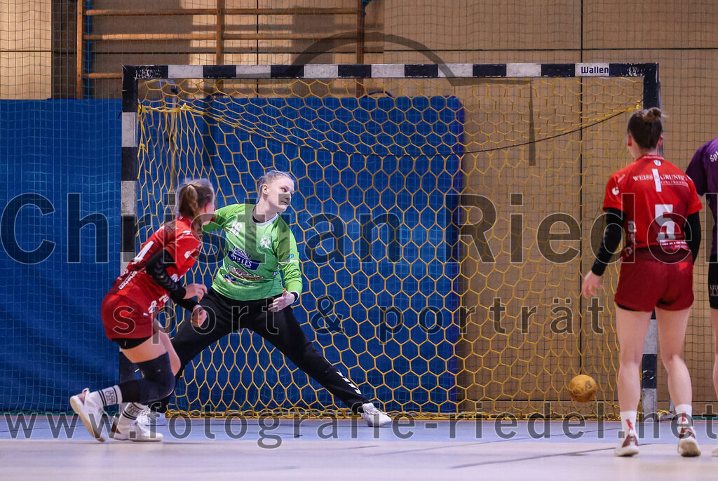2025-02-22_066_SpVgg_Altenerding_gegen_TG_Landshut | Erding, Deutschland, 22.02.2025:Handball, Bezirksoberliga Frauen Altbayern 2024 / 2024, 15. Spieltag, SpVgg Altenerding gegen TG Landshut, Endergebnis: 25:22Isabella Gschossmann (TG Landshut, #14), Torfrau Lara Kullmann (SpVgg Altenerding, #16), Julia Otto (TG Landshut, #5)Foto: Christian Riedel / fotografie-riedel.net