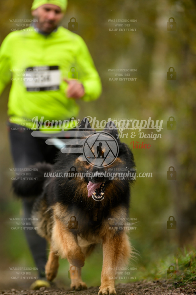 MompixPhotography_20TSB_E6_Run-162 | PayLife
