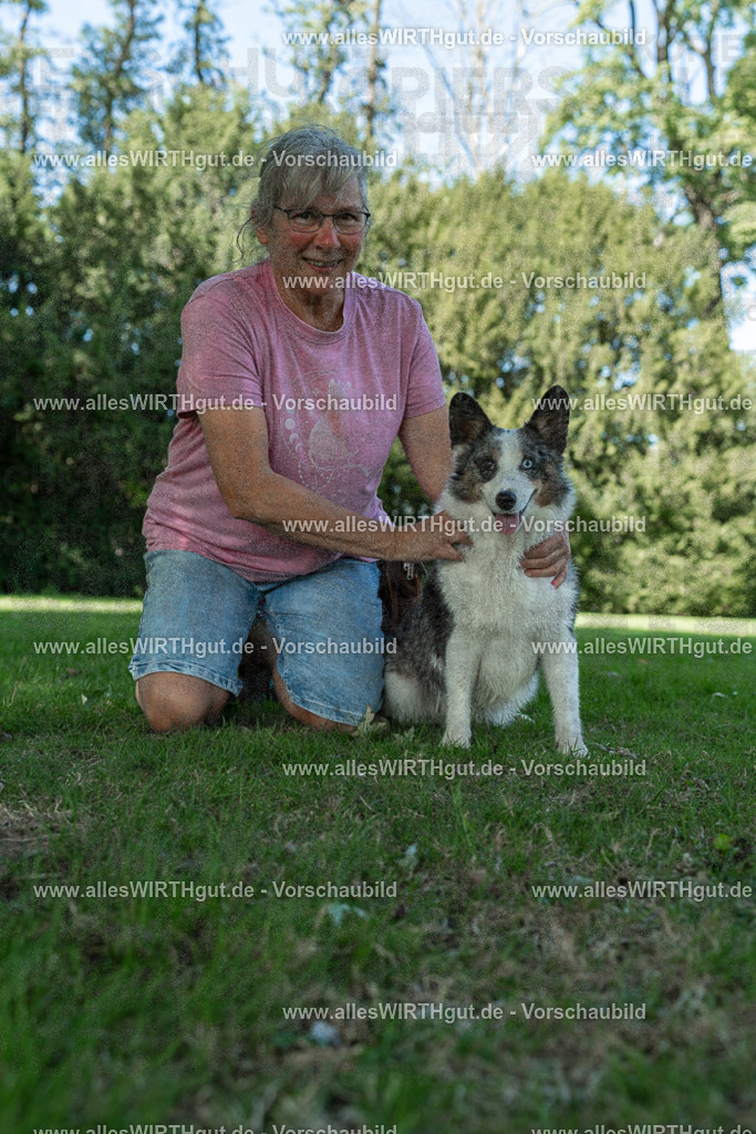Hundeschwimmen_Volksbad_2026-allesWIRTHgut_Tierfotografie-2609061326-7R500809 | Professionelle Tierfotografie in Mönchengladbach von Daniel Wirth (allesWIRTHgut). Liebevolle & natürliche Bilder von Hunden & Katzen für unvergessliche Erinnerungen.