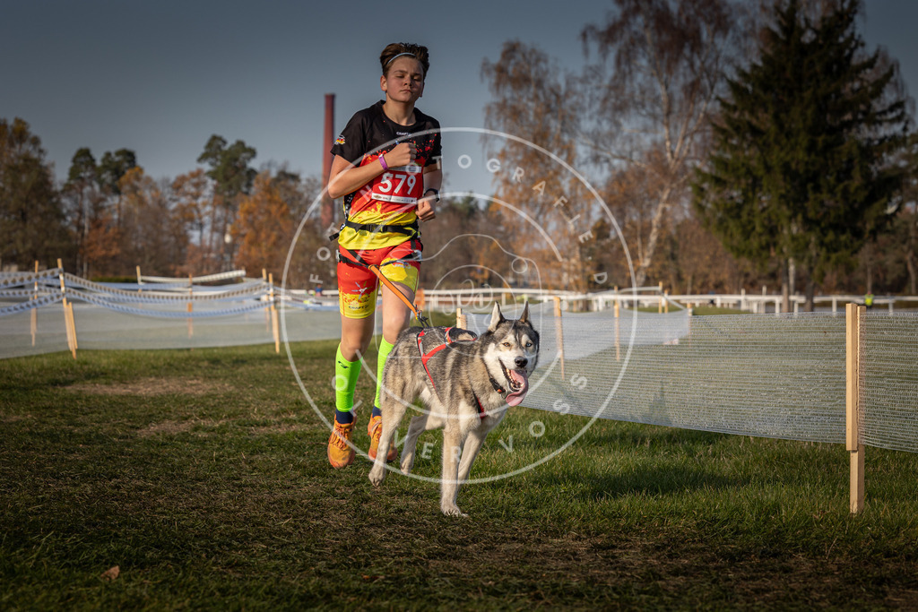 CaniXpix_0L8A9698 | Hundefotografie, Tierfotograf, Pfotenfotografie, Fotoshooting Hund, Hunde Portrait, Hundesport, Hundeportraits, Heideshooting, Hunde, Sportfotograf, Hundefotograf, Turnierhundsport, THS,  - Realisiert mit Pictrs.com