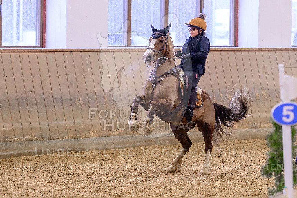 29032026-Schwaiganger-Prfg01-269 | Fokus Hufschlag Fotografie - Realisiert mit Pictrs.com