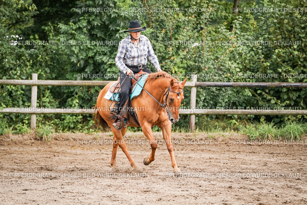 DSC08675 | Pferdegrafie