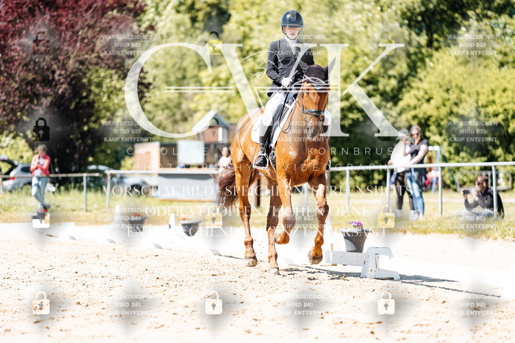 CK905820 | Turnierfotografie Pferdefotografie Trier Rheinland-Pfalz Pferdesport Reitsport Tierfotografie Sportfotografie Pferdevideo Pferdevideografie Equestrianvideography equestrianphotography  - Realisiert mit Pictrs.com