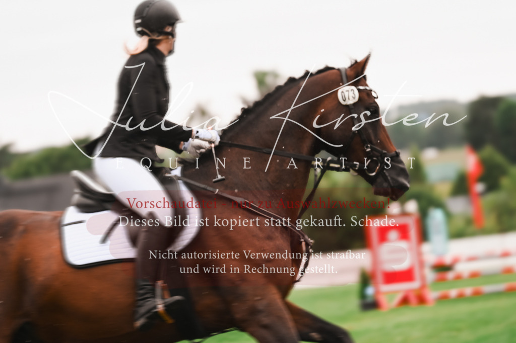DSC_6564 | Pferde- und Turnierfotografie in Westsachsen. Pferdeportraits, Auftragszeichnungen und intuitive Kunst.