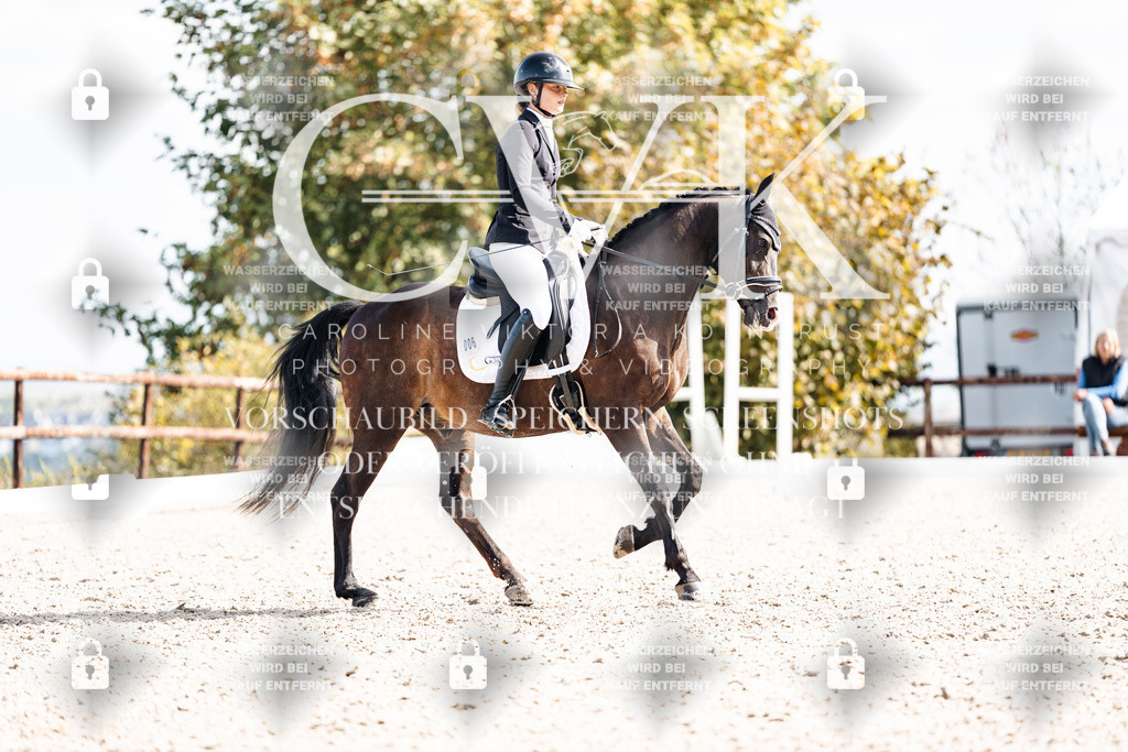 CK902148 | Turnierfotografie Pferdefotografie Trier Rheinland-Pfalz Pferdesport Reitsport Tierfotografie Sportfotografie Pferdevideo Pferdevideografie Equestrianvideography equestrianphotography  - Realisiert mit Pictrs.com