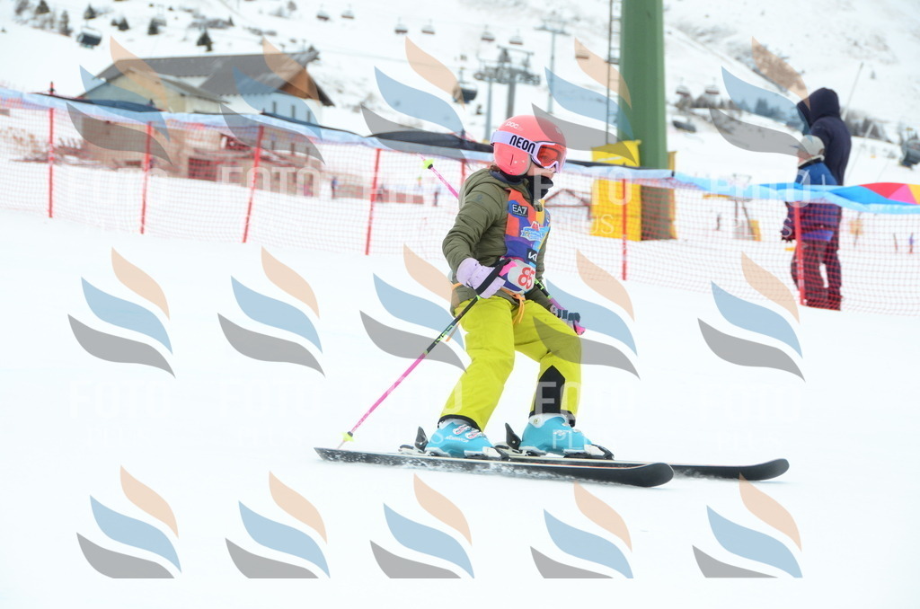 DSC_1141 | holidayphoto