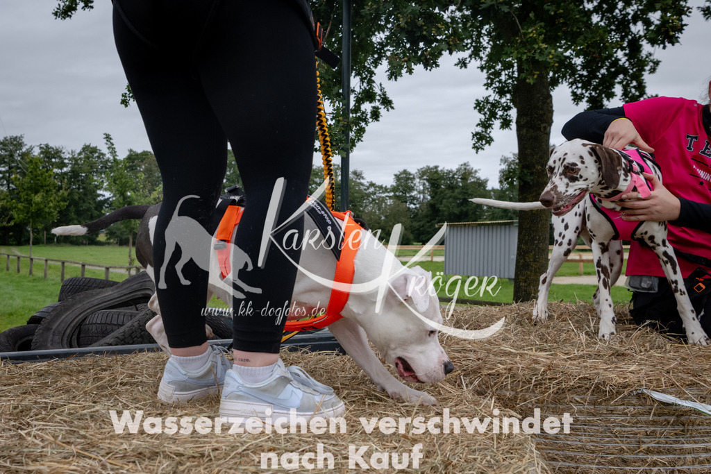 1223_ZZ90424 | kk-dogfotos