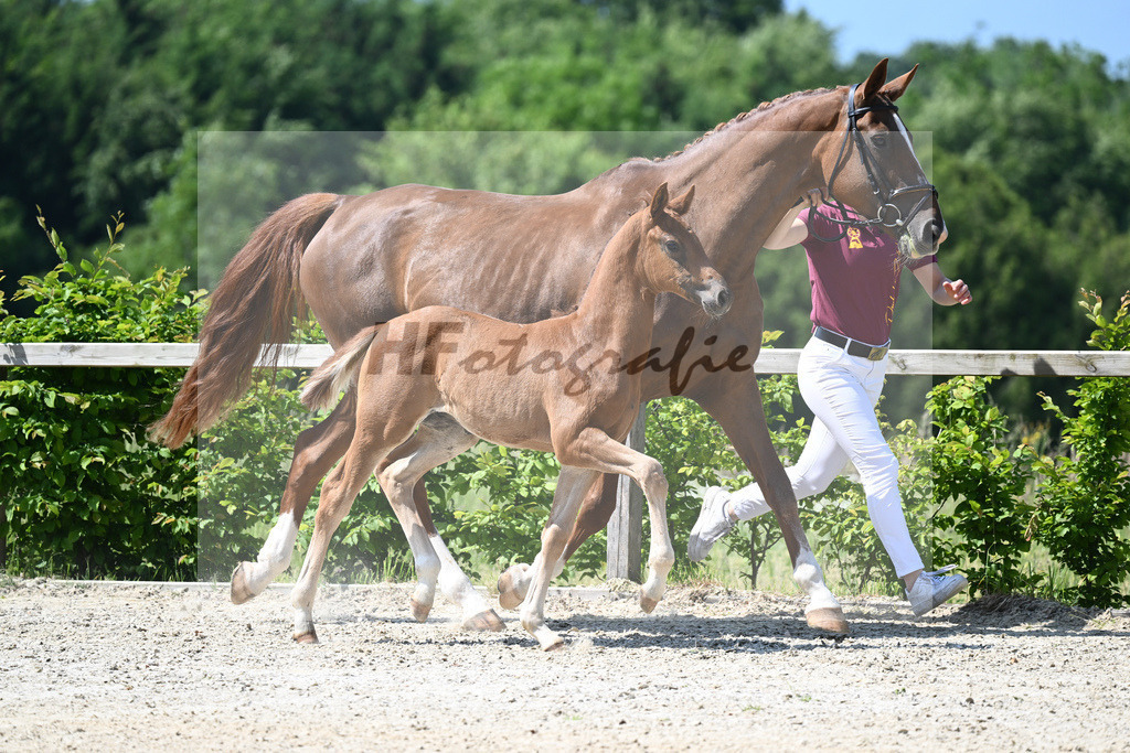 Kat-Nr. 8 HF DSP Feliciano_Niedermair_15230165 | hf-fotografie - Realizzato con Pictrs.com