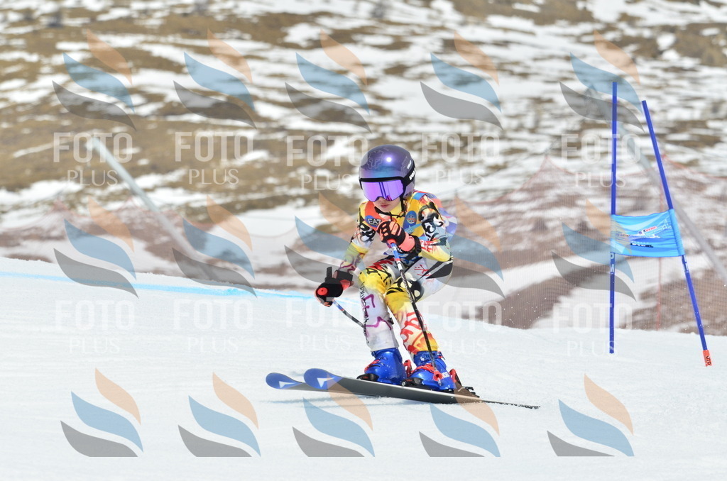 _ELE2929 | holidayphoto