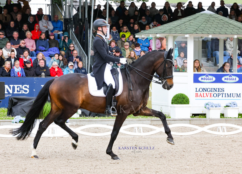 1B3A8177 | Reitsport Reiten