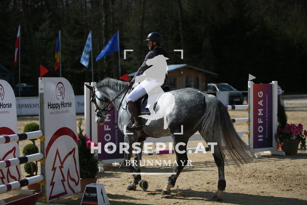 AS8V6442 | Willkommen bei Brunnmayr - Design & Fotografie – Ihrem Spezialisten für Reitturniere und Pferdeveranstaltungen in Oberösterreich, Salzburg und Bayern! Seit über 17 Jahren sind wir leidenschaftlich dabei.