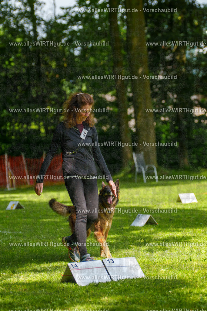 @allesWIRTHgut_Tierfotografie - www.allesWIRTHgut.de - 7R503724 | Professionelle Tierfotografie in Mönchengladbach von Daniel Wirth (allesWIRTHgut). Liebevolle & natürliche Bilder von Hunden & Katzen für unvergessliche Erinnerungen.