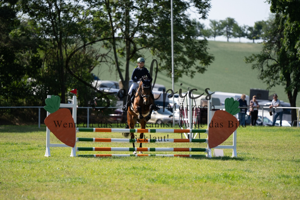 A7V05376 | Pferdefotograf