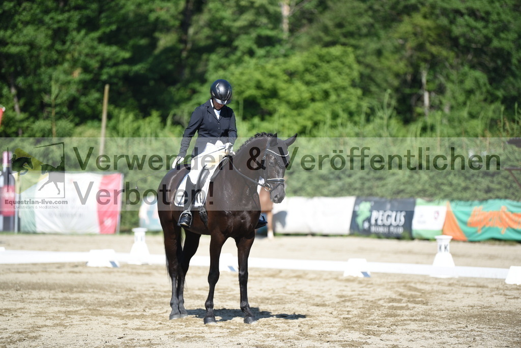 DSC_7501 | equestrian-live-com