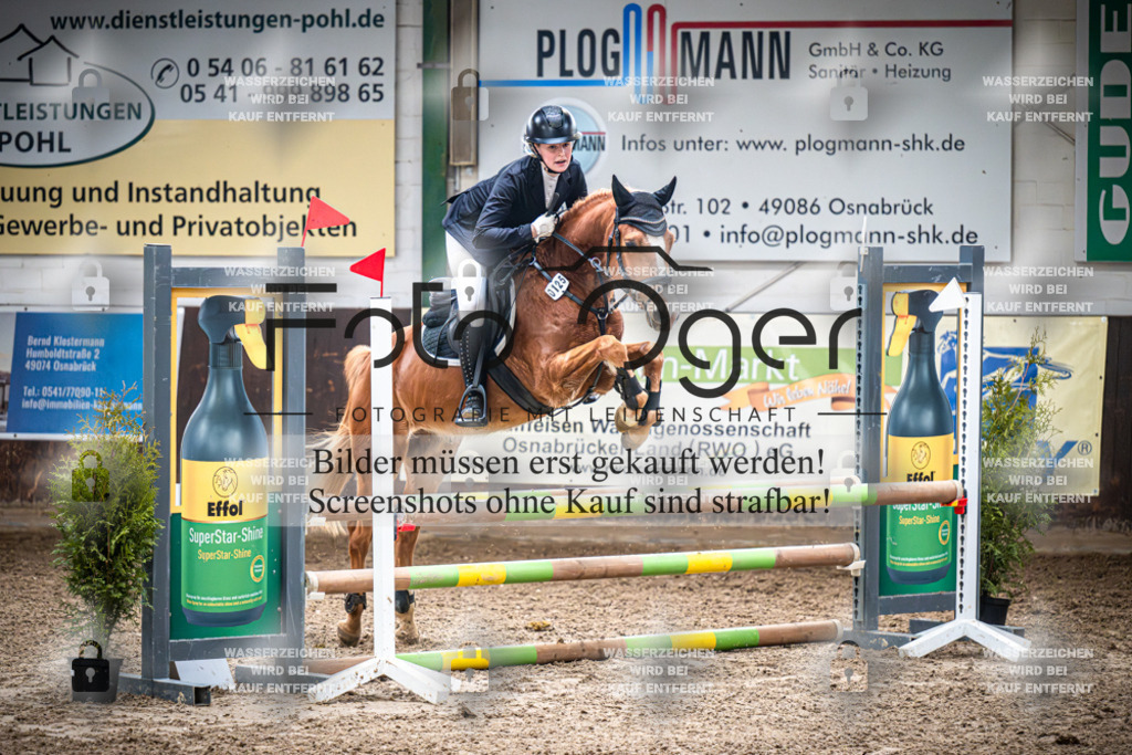 DOS_0592 | Entdecke hochwertige Reitturnierfotos von Foto Oger. Professionell, emotional und authentisch – jetzt Lieblingsmomente im Shop bestellen.Deutschlandweite Turnierfotografie. - Realisiert mit Pictrs.com