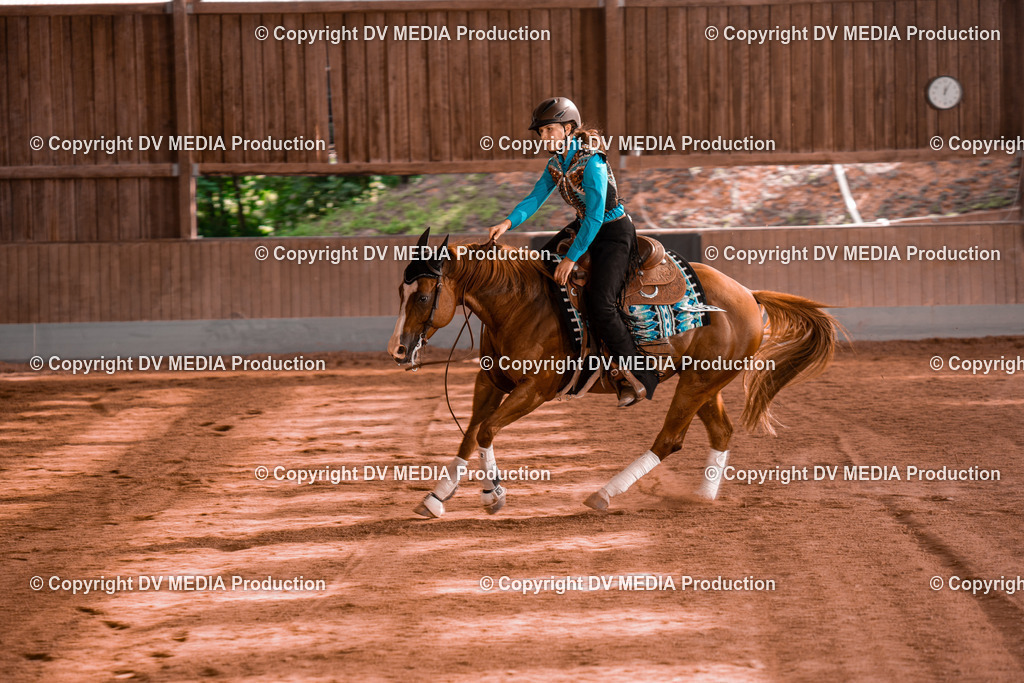 NE201133 | dv-media-shop - Realisiert mit Pictrs.com