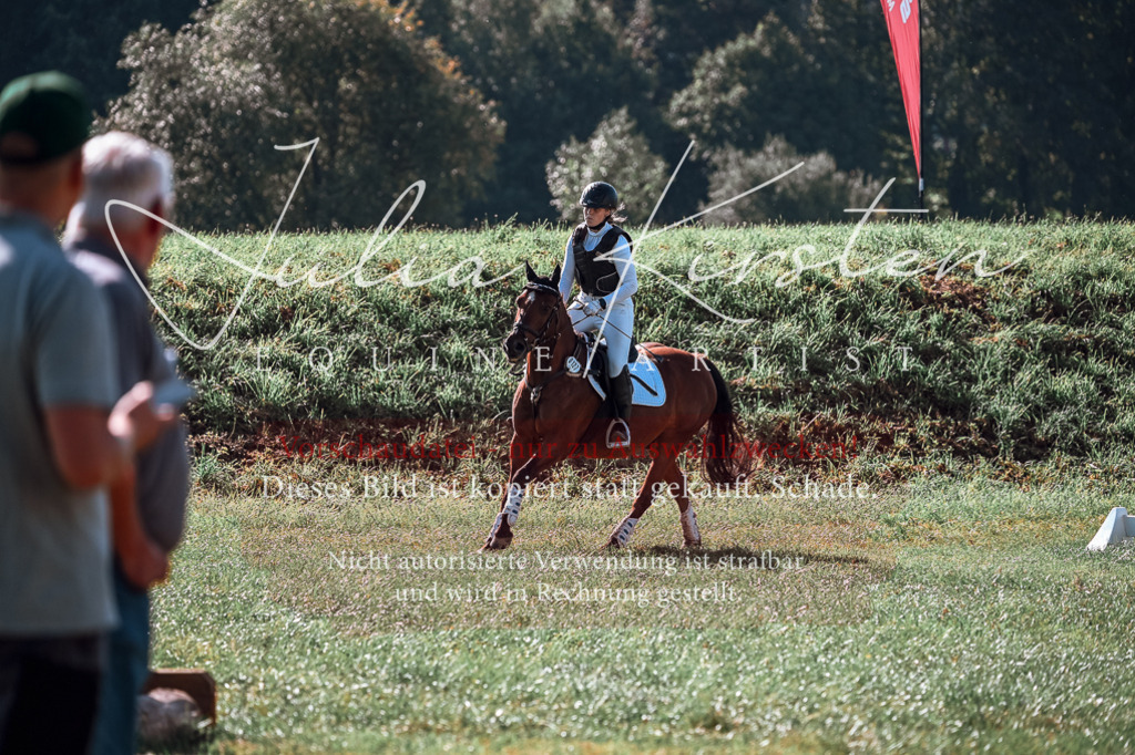 DSC_0608 | Pferde- und Turnierfotografie in Westsachsen. Pferdeportraits, Auftragszeichnungen und intuitive Kunst.
