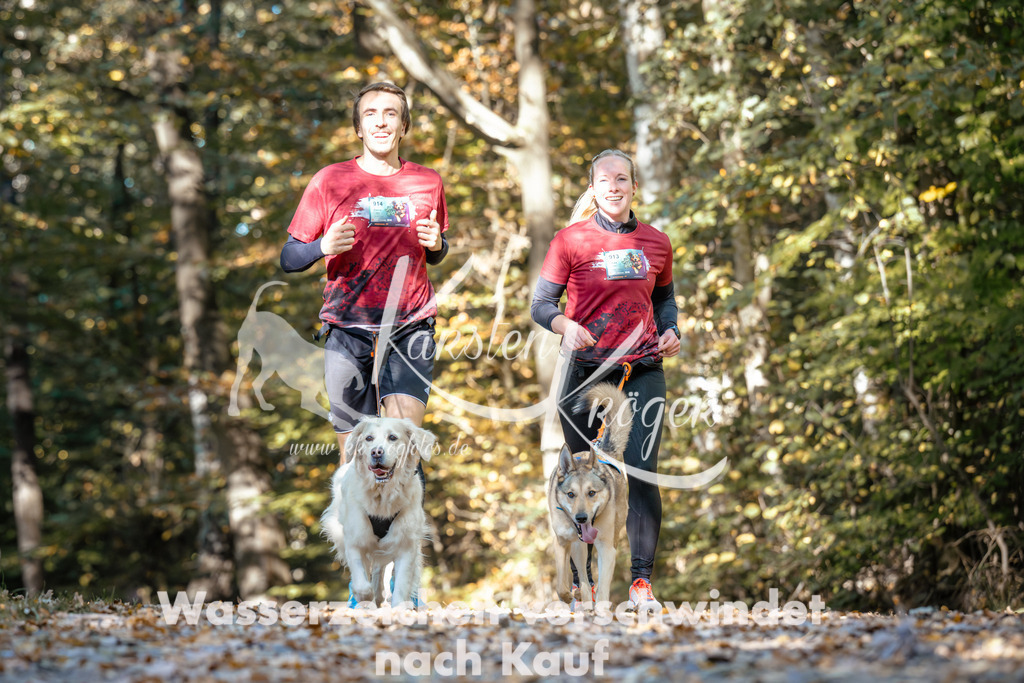 1140_ZZ93073 | kk-dogfotos