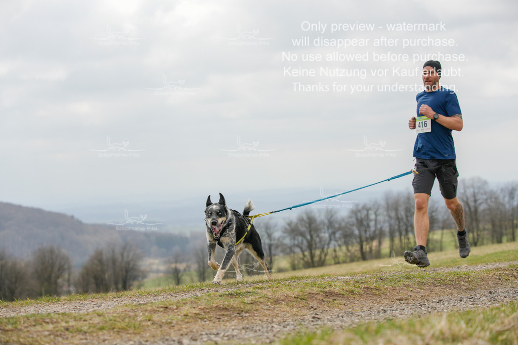 CaniXRunSA-93 | stephaniefillaphotographie - Realisiert mit Pictrs.com