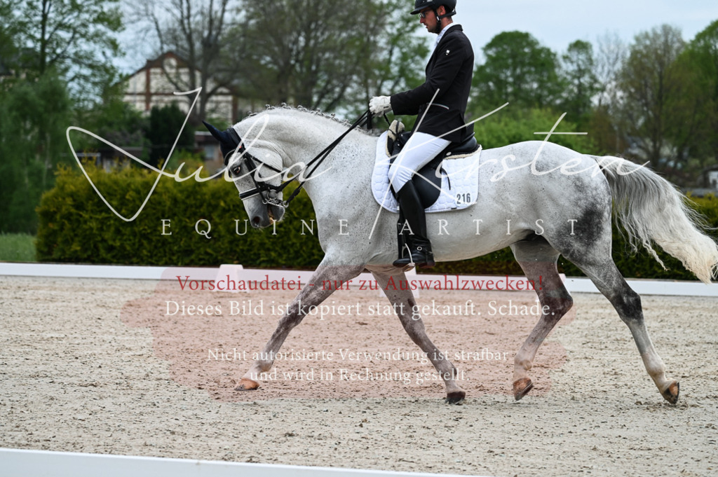 20230513_JK-Röhrsdorf-12-063 | Pferde- und Turnierfotografie in Westsachsen. Pferdeportraits, Auftragszeichnungen und intuitive Kunst.