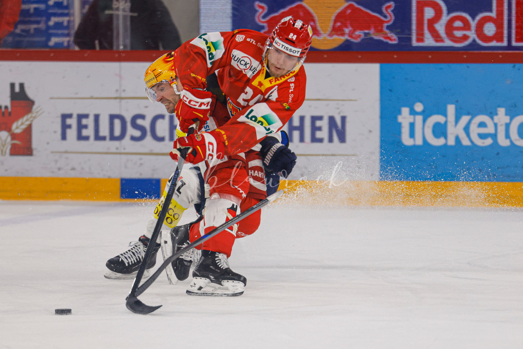 EHCB vs HCAP 20260115_wb-4414 | Sportbilder, Sportfotograf, Hochzeits- und Eventfotografin, Flugshows, Portraits und Tiershooting, Aviation, Downhill, Nationalleague, Swissleague, International