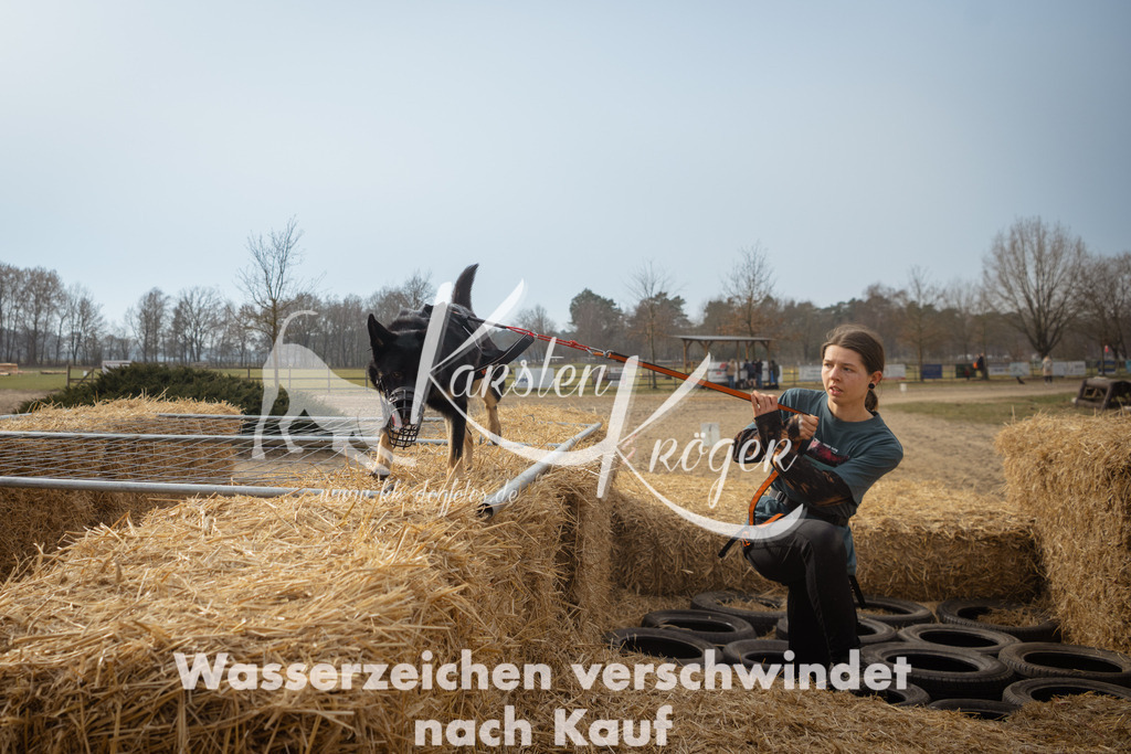 1118_ZZ92856 | kk-dogfotos