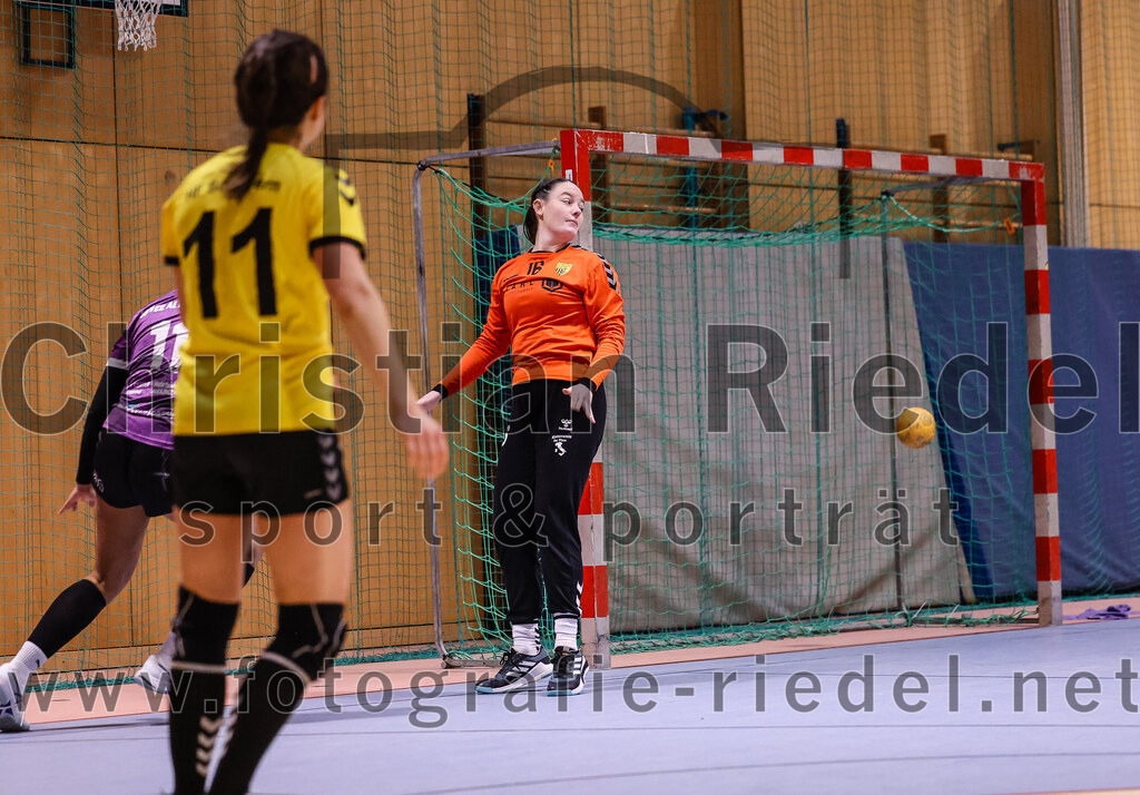 2025-01-11_096_SpVgg_Altenerding_gegen_HF_Scheyern | Erding, Deutschland, 11.01.2025:Handball, Bezirksoberliga Frauen Altbayern 2024 / 2024, 10. Spieltag, SpVgg Altenerding gegen HF Scheyern, Endergebnis: 20:23Nikayla Alston (SpVgg Altenerding, #11), Karolin Kollmar (HF Scheyern, #16)Foto: Christian Riedel / fotografie-riedel.net