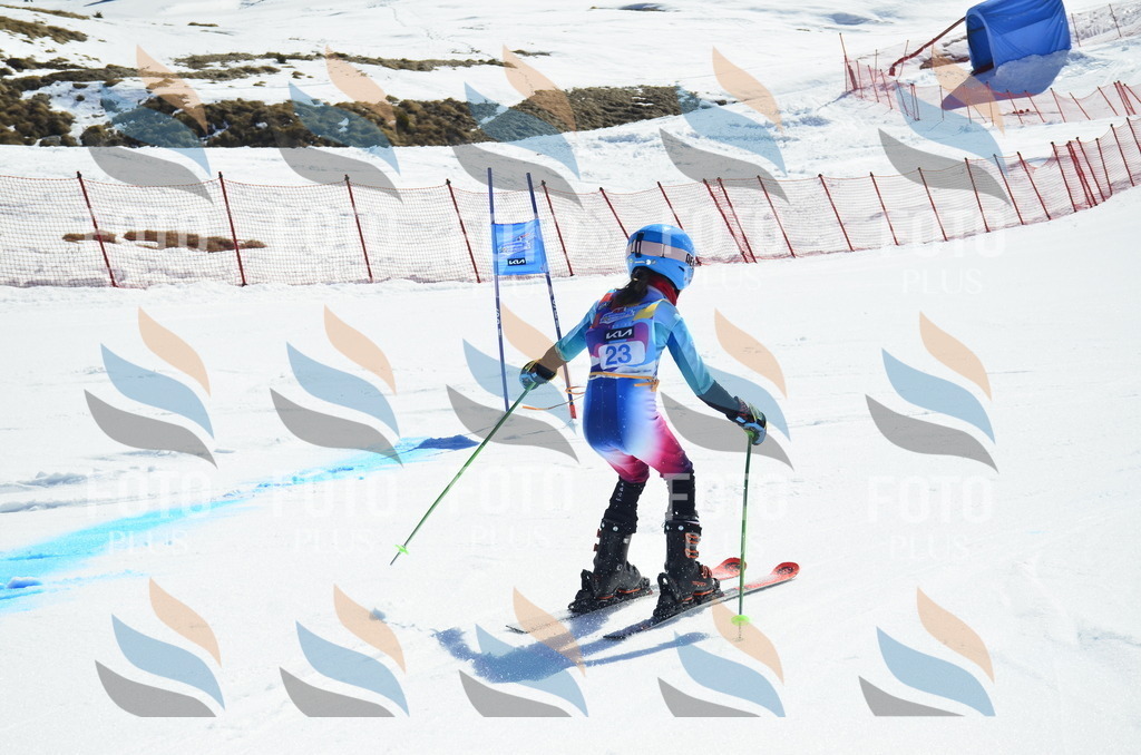 _ELE9913 | holidayphoto