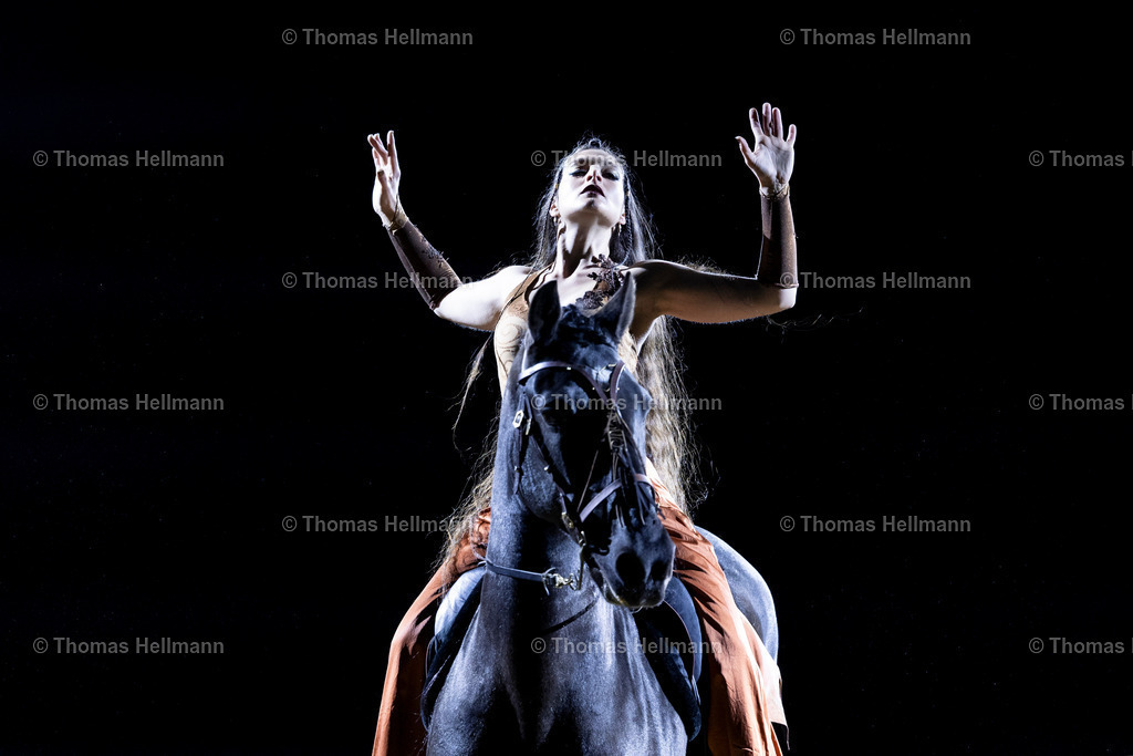TH_Hop Top Show_26790 | EQUITANA 2025 am 07.03.25 in Essen