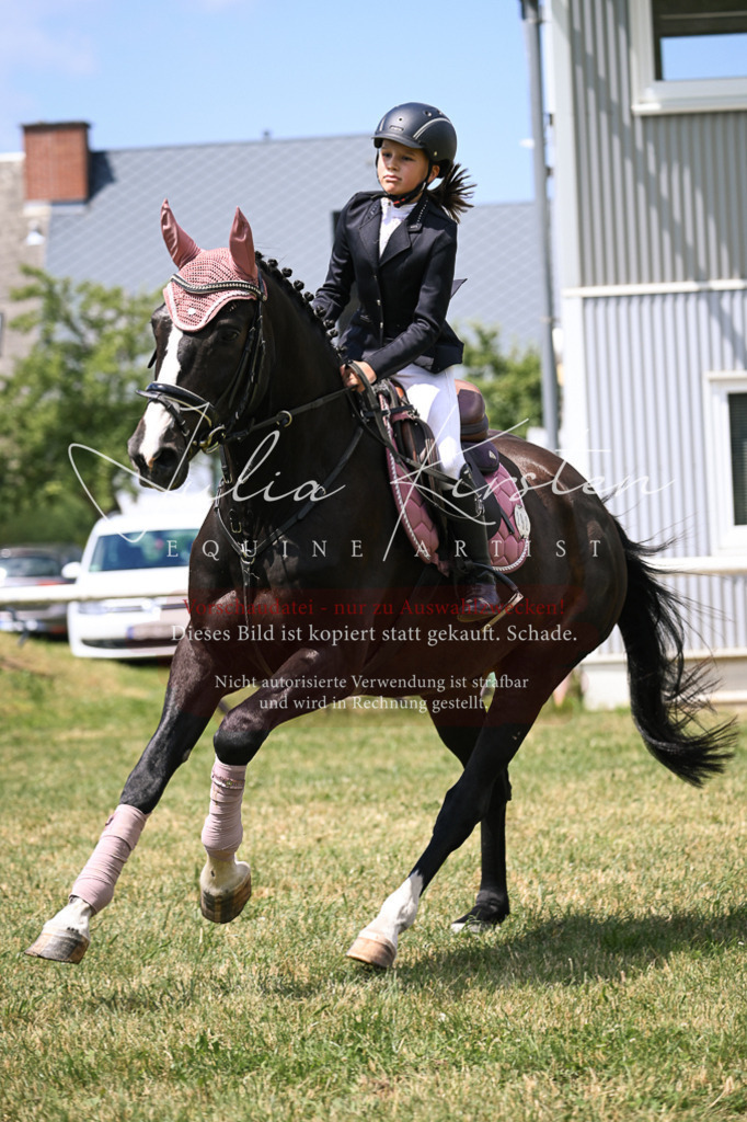 DSC_9375 | Pferde- und Turnierfotografie in Westsachsen. Pferdeportraits, Auftragszeichnungen und intuitive Kunst.