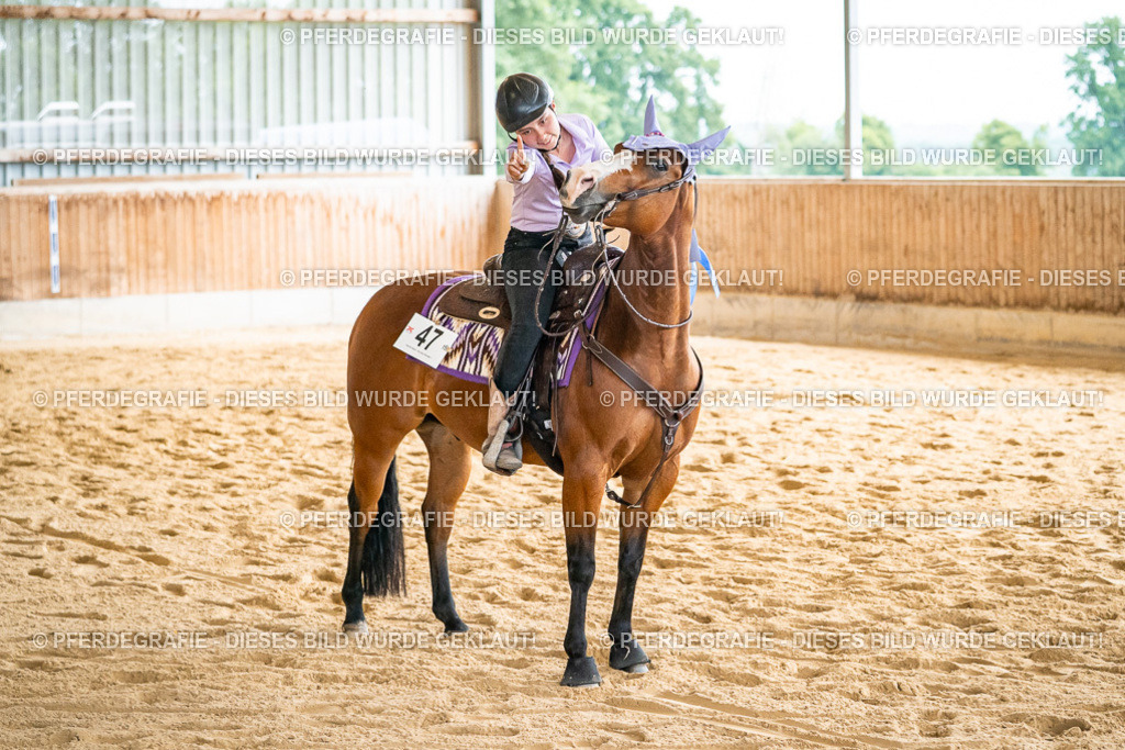 DSC07588 | Pferdegrafie