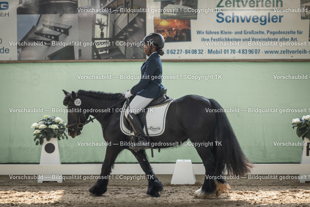 _D5A5505 | Emotionale Pferde- & People-Fotografie rund um Heidelberg, Leimen & Umgebung. Natürliche Fotos von Pferd, Mensch & Familie. Jetzt Termin sichern!